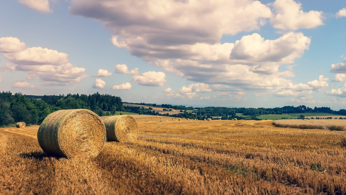 *AFLYST* FRAGMENTER af sensommer
