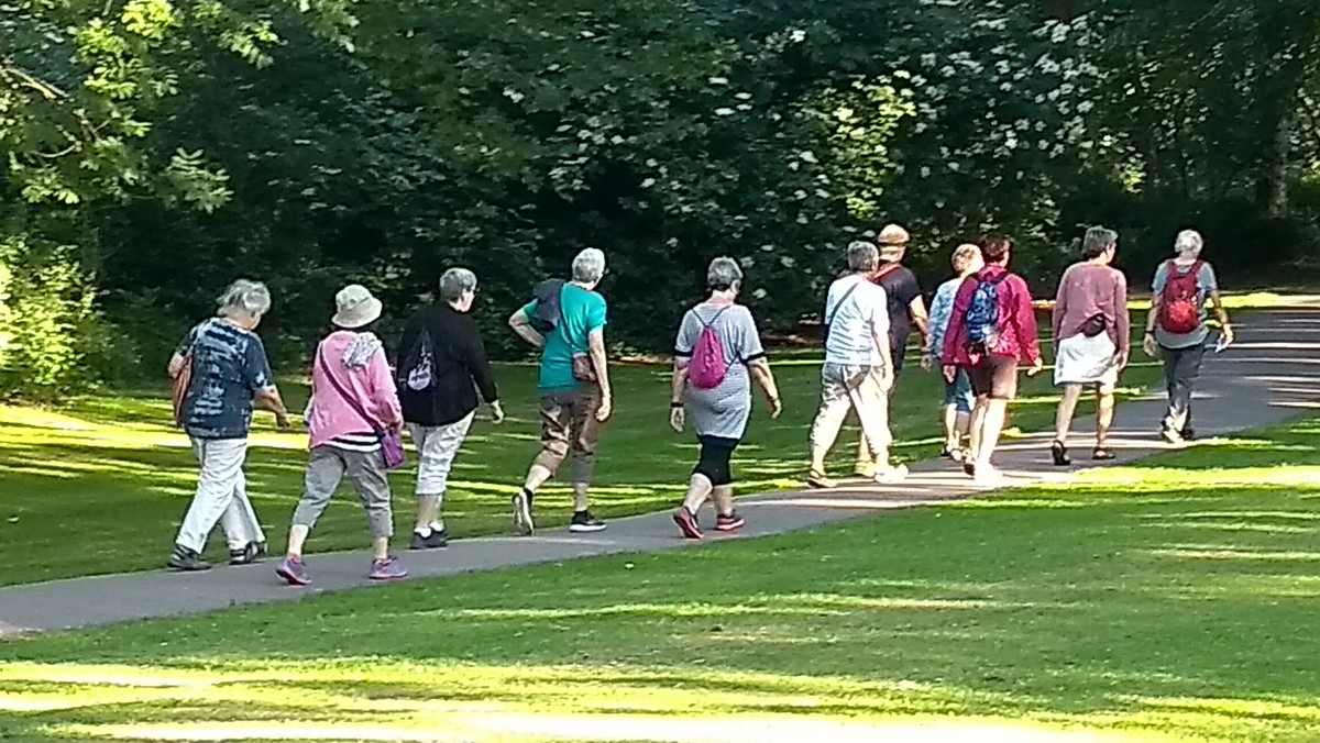 Pilgrimsvandring