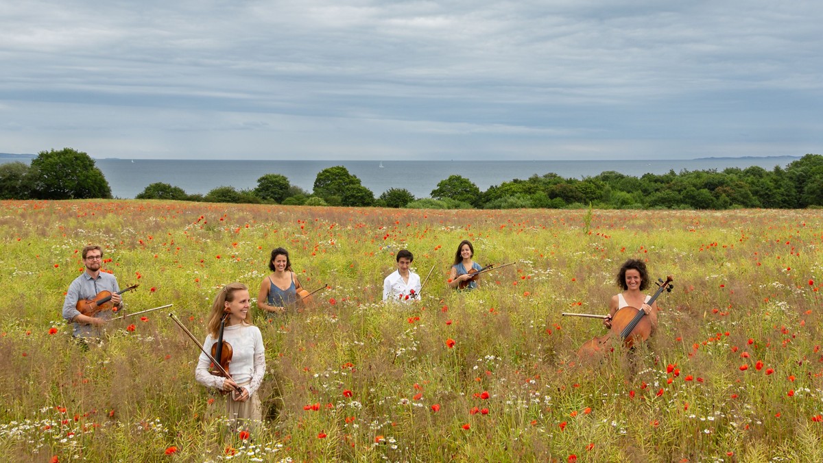 Koncert Ensemble Hermes