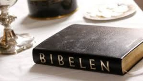 Bibel 2020