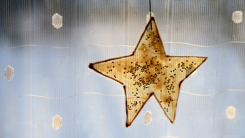 Gottesdienst - 2. Advent