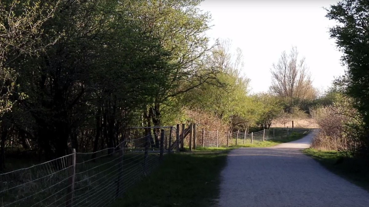 Pilgrimsvandring på Fælleden