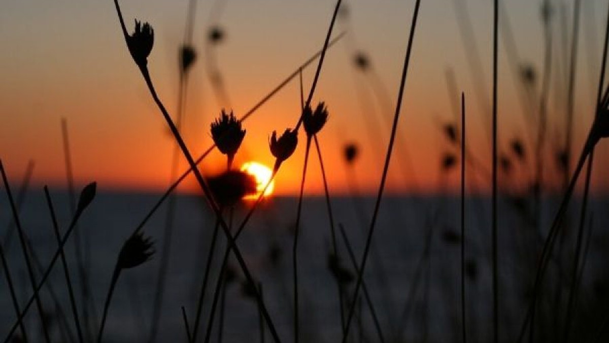 Fællessang ved solnedgang