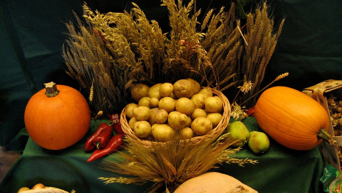 Tegel-Süd: Erntedank-Familiengottesdienst