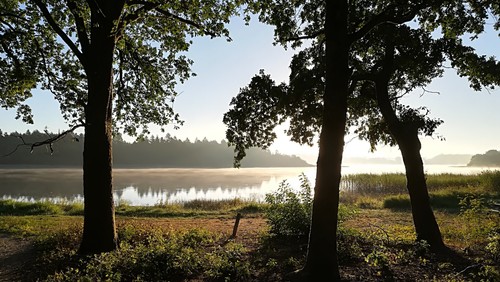 Den åbne familie - Tur rundt om Hampen sø - "walk-and-talk"