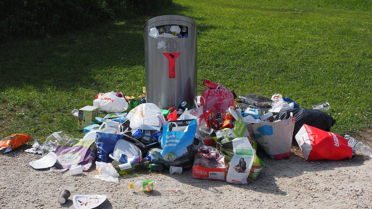 World Cleanup Day