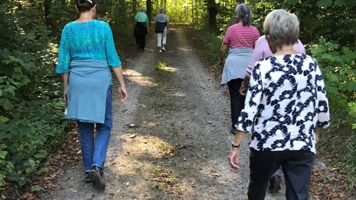 Pilgrimsvandring