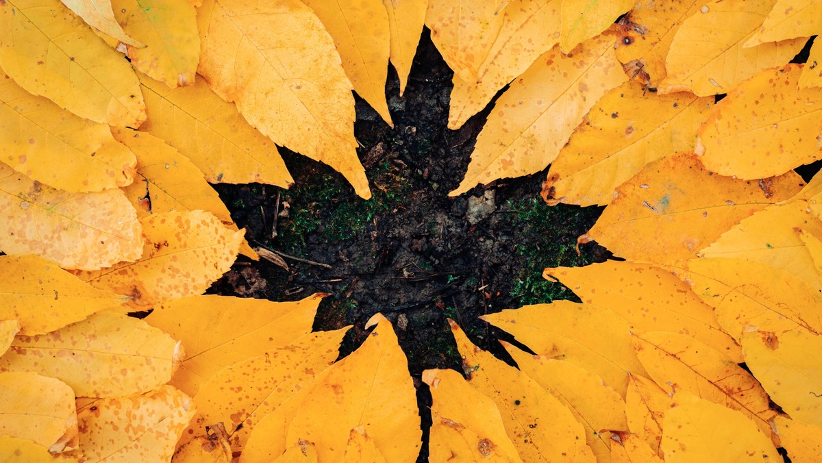 Herbstfahrt