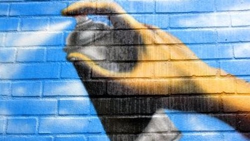 "Graffiti und StreetArt - aufgesprüht und hingeklebt" Ein Stadtrundgang