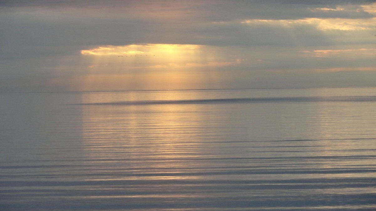 Morgenandagt / fællesskab og sang