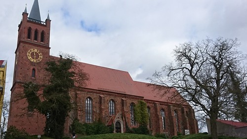 Dagmar Müller