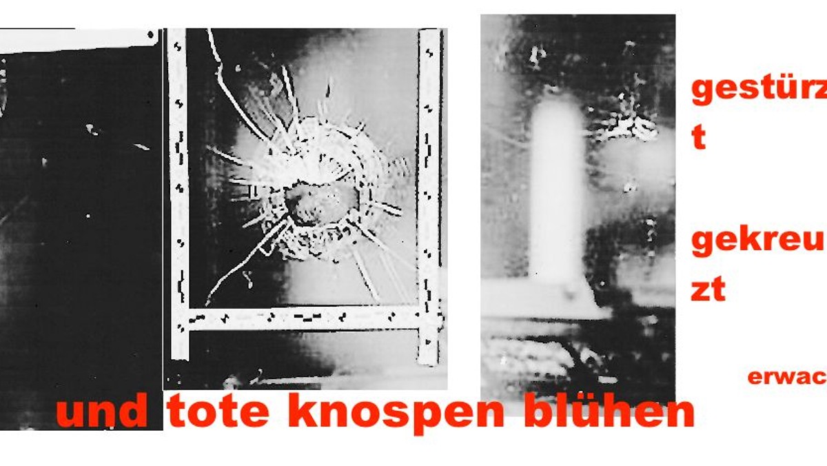 Kunst von BROSCH im Lazarus-Haus