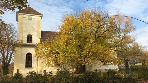 Gottesdienst in oder vor der Dorfkirche