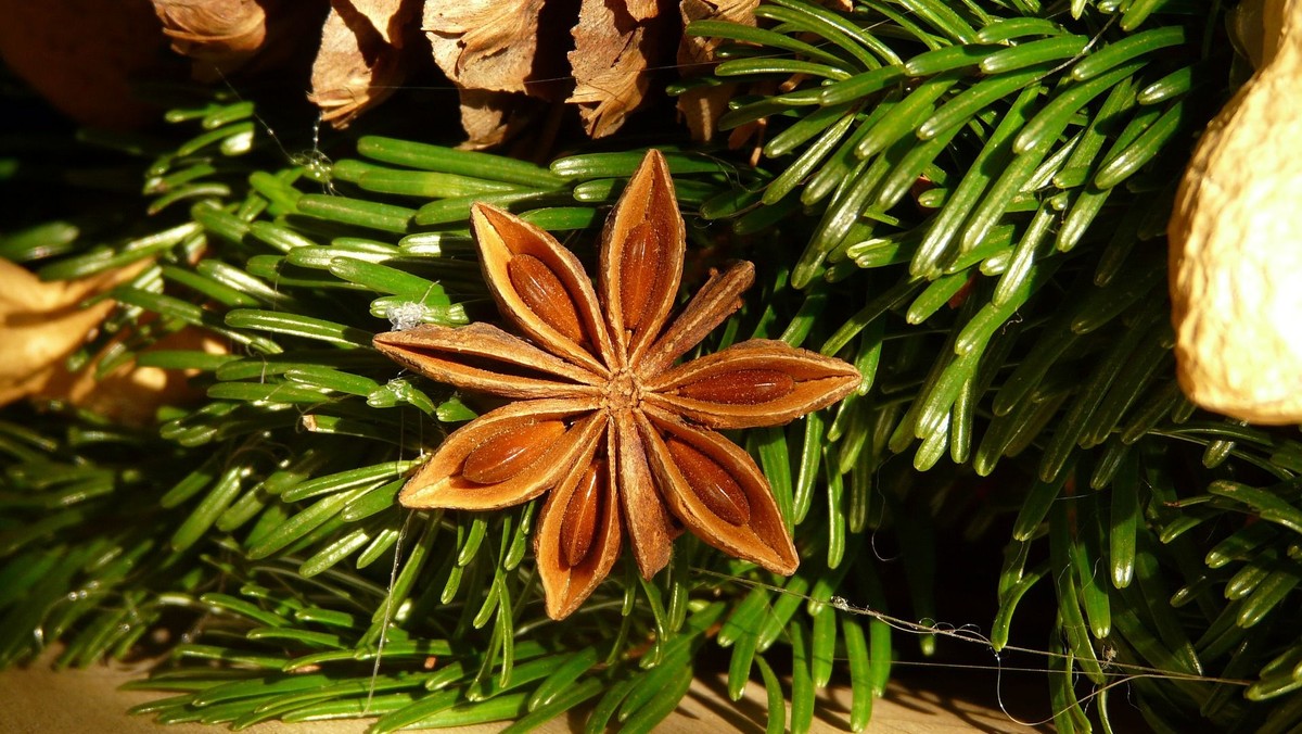Zentralgottesdienst mit Eröffnung des Adventsbasars