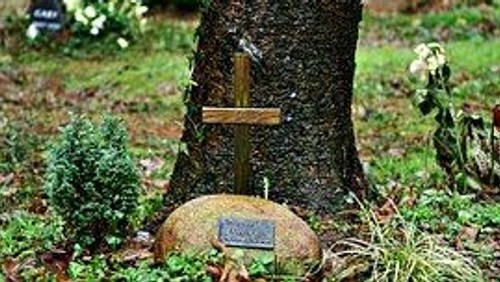Gottesdienst zum Ewigkeitssonntag in Felsen