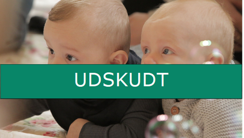 UDSKUDT. Babysalmesang