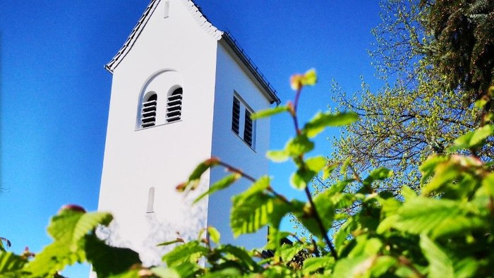 Weiße Kirche mit Turm hinter Grünpflanzen unter blauem Himmel