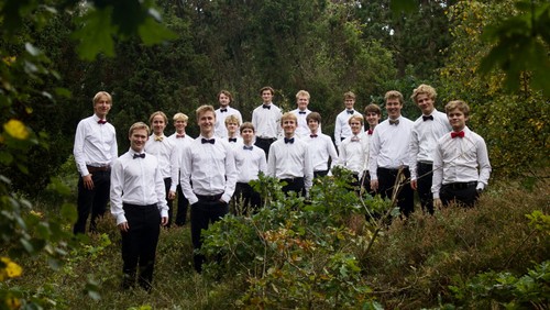 Koncert med Clemens Knejterne