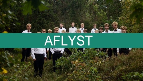 AFLYST. Koncert med Clemens Knejterne