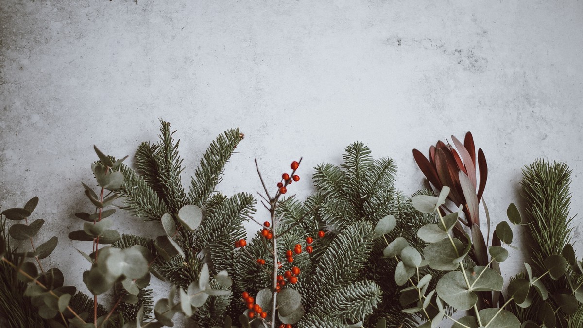 Torsdag kl. 12: Danske Kvinders julefrokost