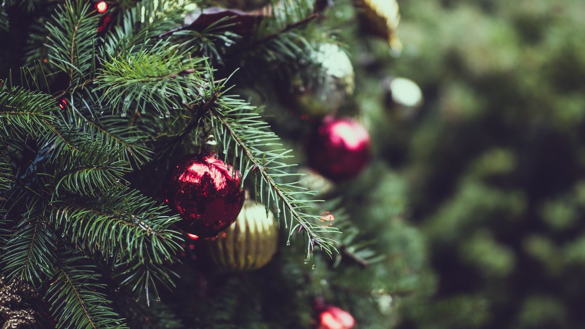 Weihnachtsgottesdienste auf einen Blick