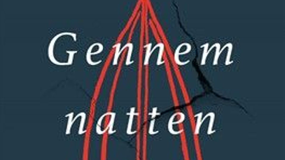 Afslutning af litteraturkreds v. Maja Lucas