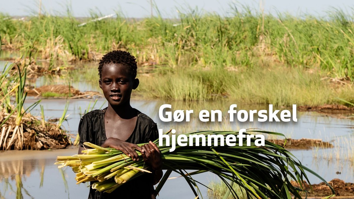 Folkekirkens Nødhjælps Sogneindsamling - online