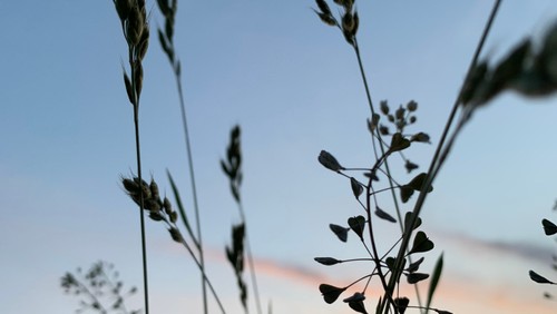 Abendzeit-Gottesdienst