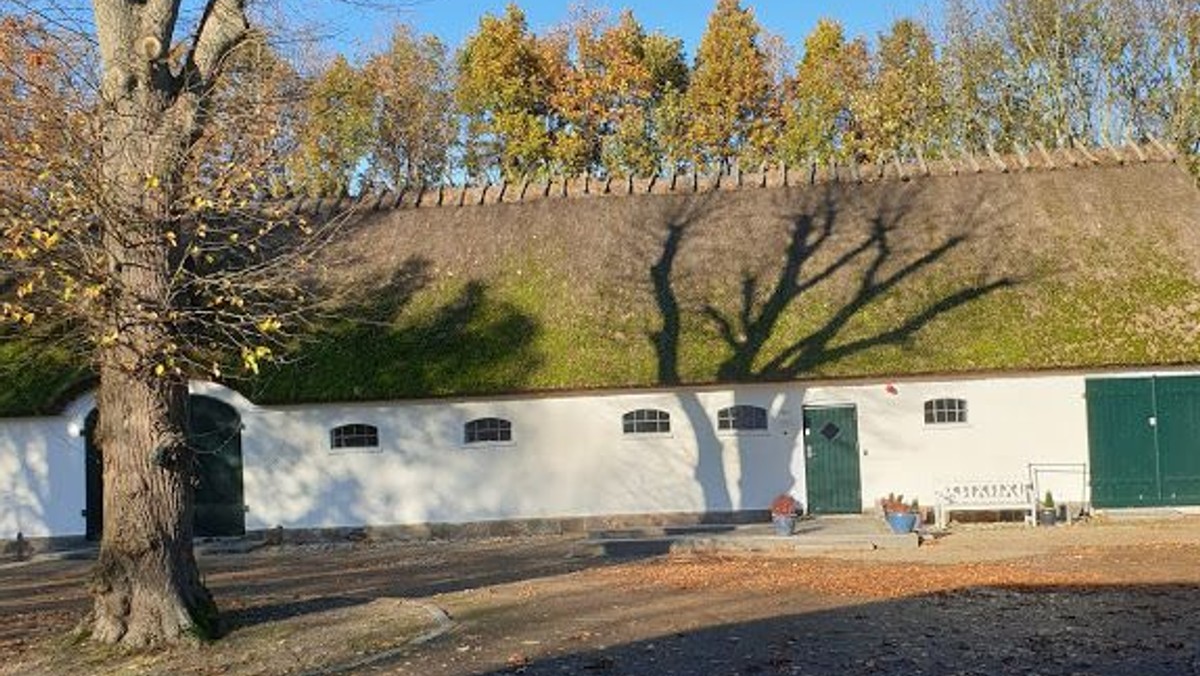 November-højskolen