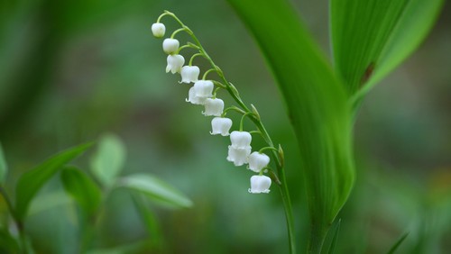 Pixabay, KIMDAEJEUNG