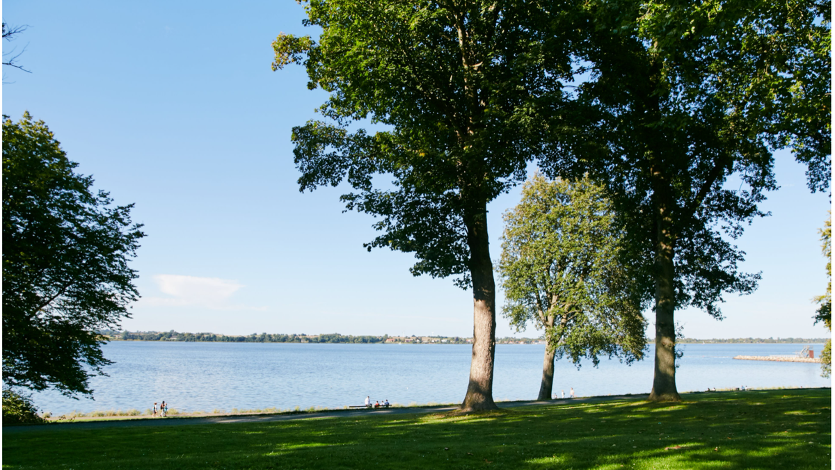Solklubbens sommerudflugt