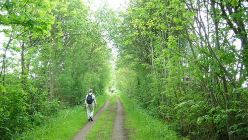 Pilgrimsvandring