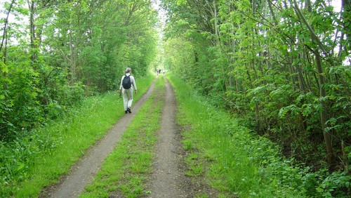 Pilgrimsvandring