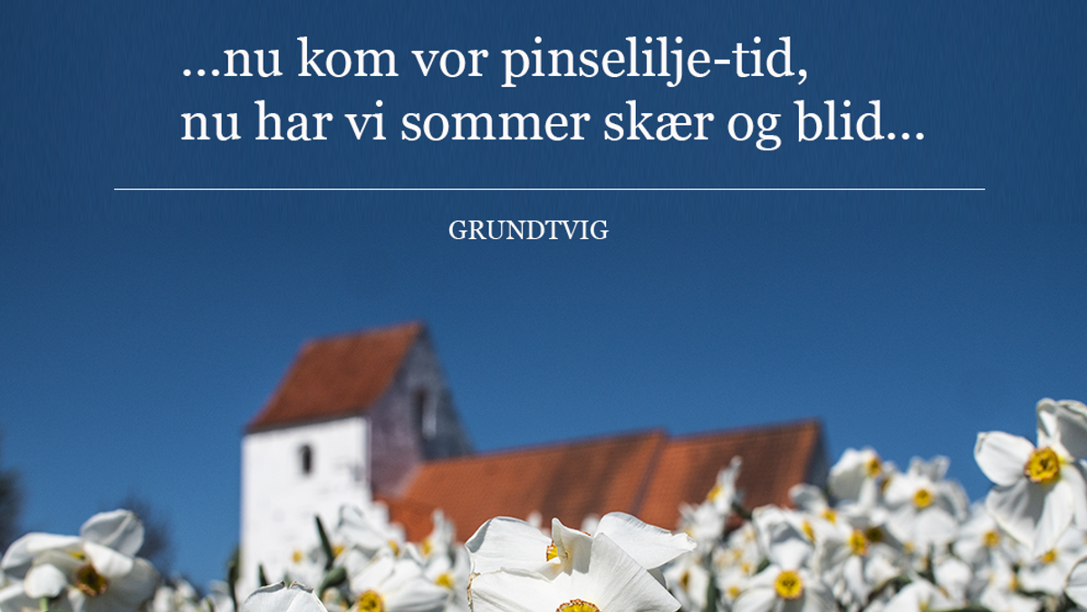 Gudstjeneste 2. pinsedag