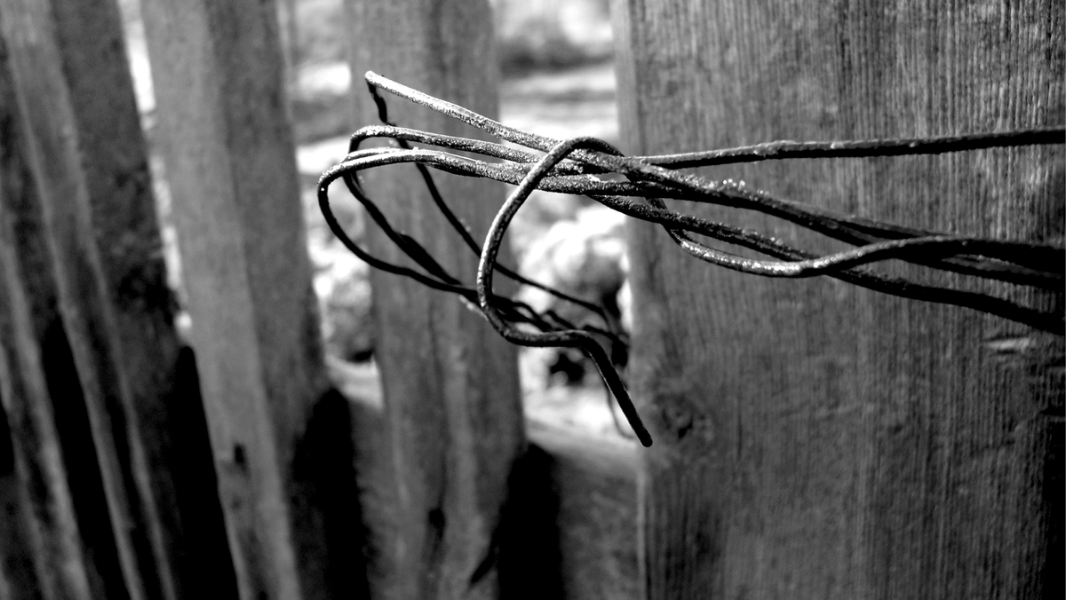 Fastengespräch (online)