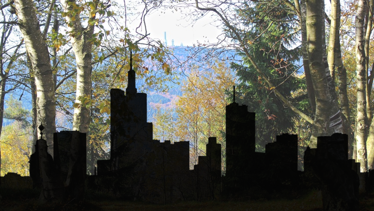 Gemeinde-Wald-Tag