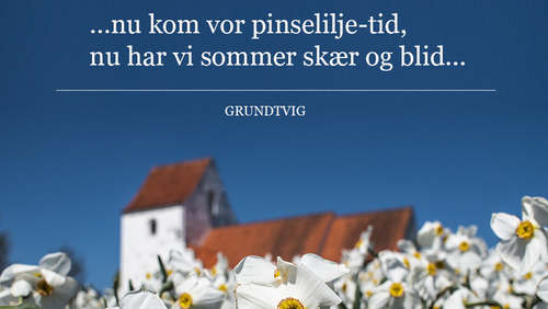 Økumenisk friluftsgudstjeneste ved Herlufsholm Kirke