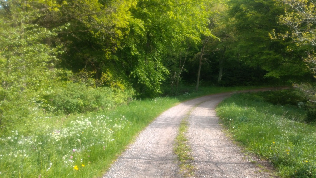 Pilgrimsvandring