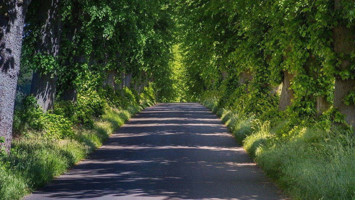 Region Storkow - Möge die Straße uns zusammenführen – Pilgern regional