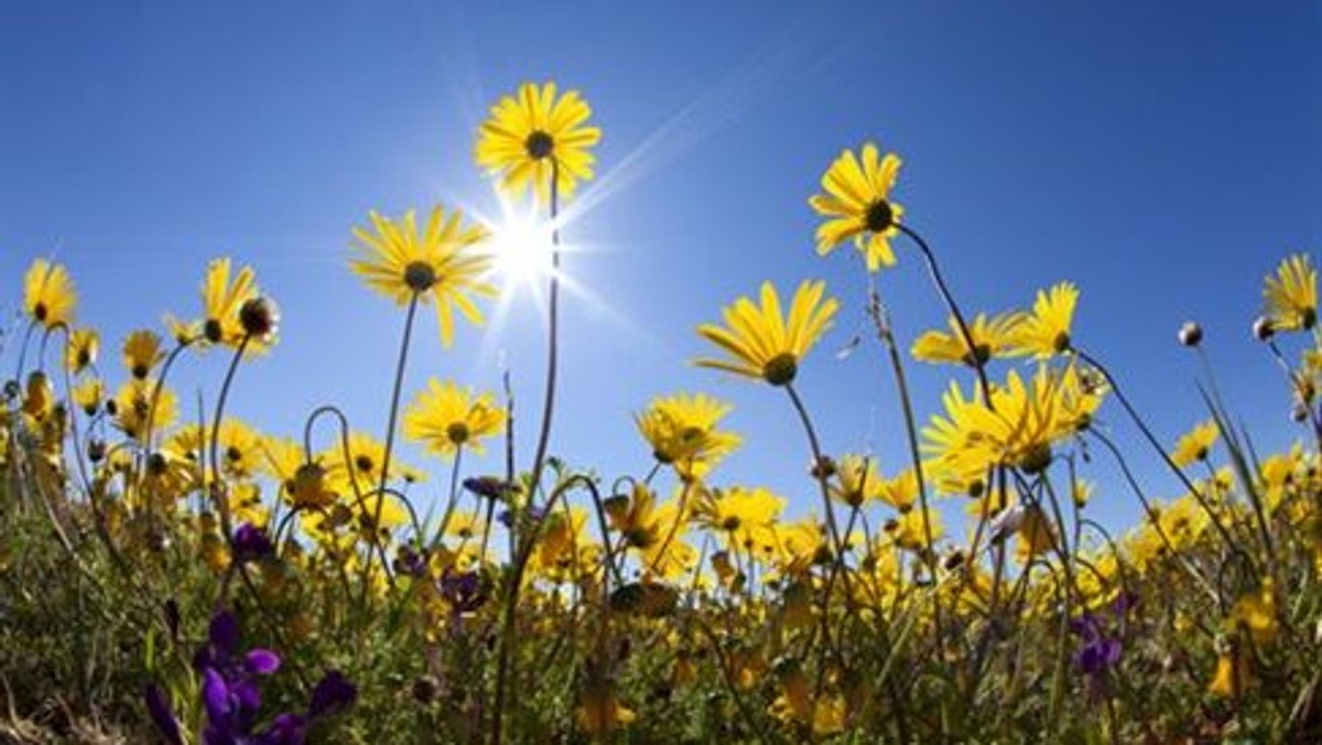 Sommerdagsgudstjeneste i Sundkirken