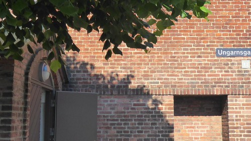 Stinne Grønaa Nielsen