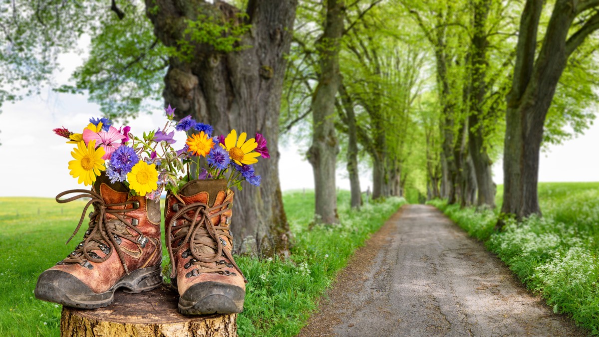 Walk and talk