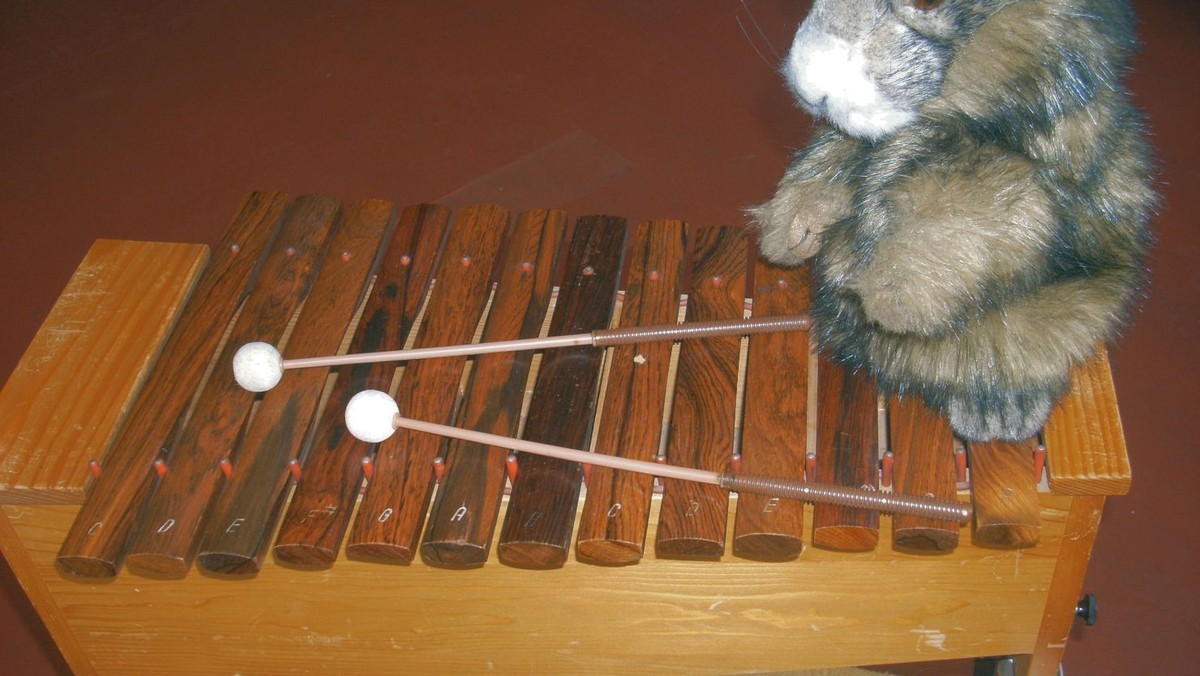 entfällt zur Zeit I Musikalische Früherziehung