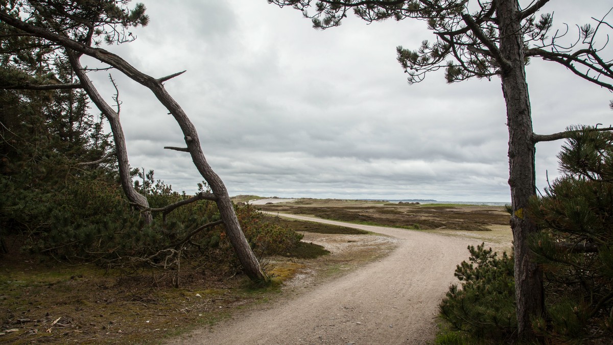 Kirke, kunst og landskab i Nykøbing og Anneberg kirker