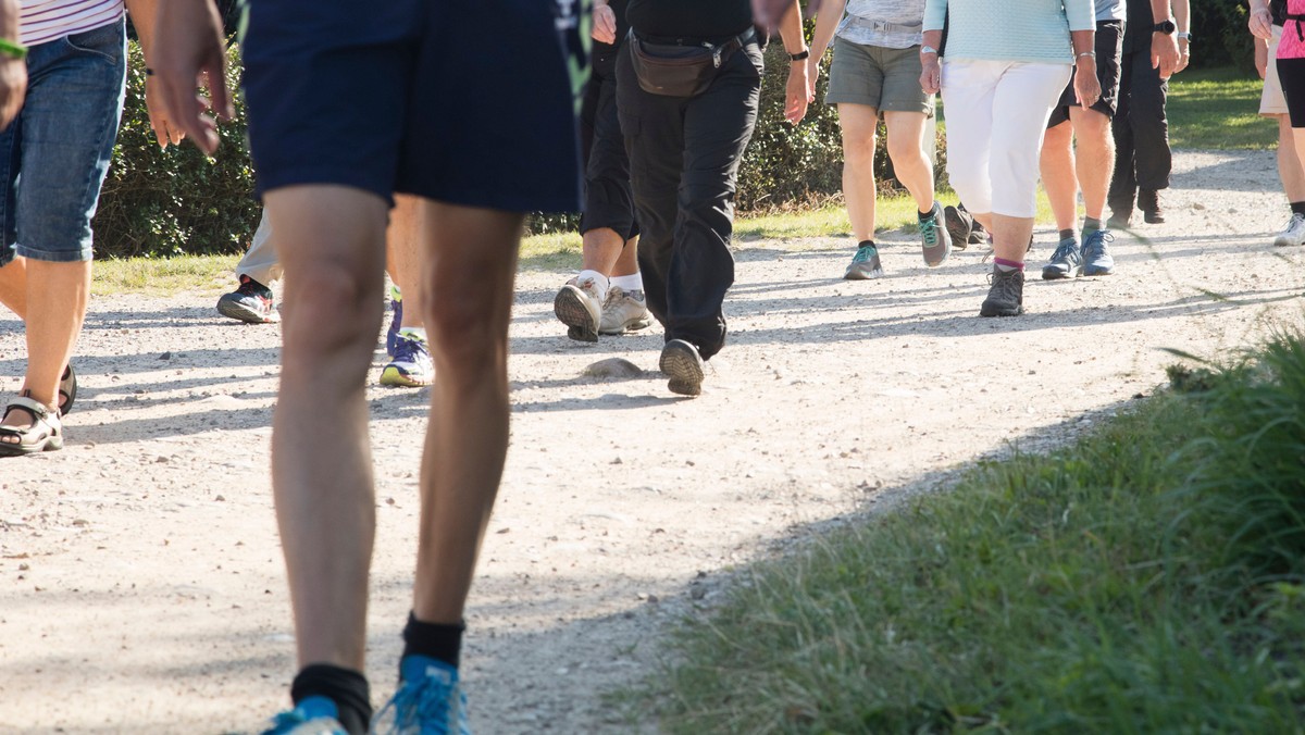 Pilgrimsvandring