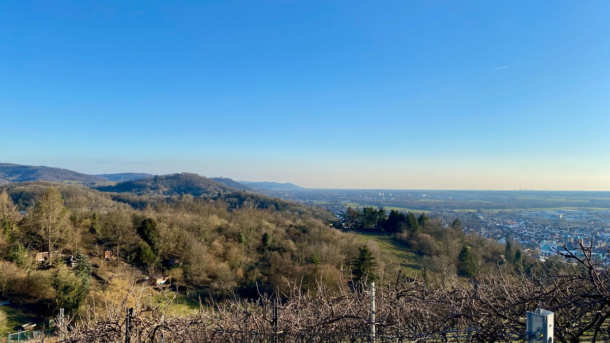 ABGESAGT! - Wanderung auf dem Weinlagenweg zwischen Zwingenberg und Bensheim