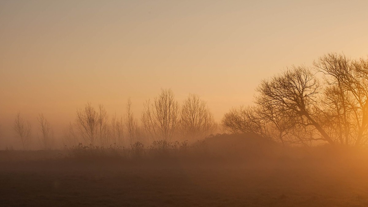 Morgensang - udenfor