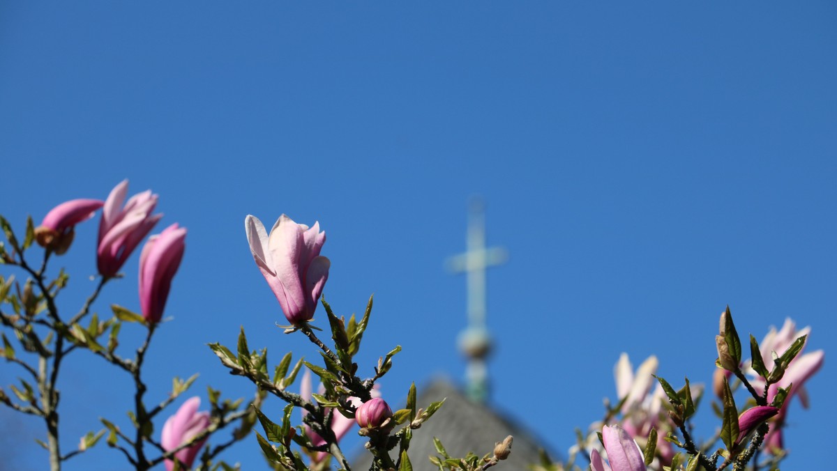 Himmelfahrt 'Unter Gottes Himmel' Rallye an Himmelfahrt'