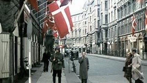 Fejring af Danmarks Befrielse