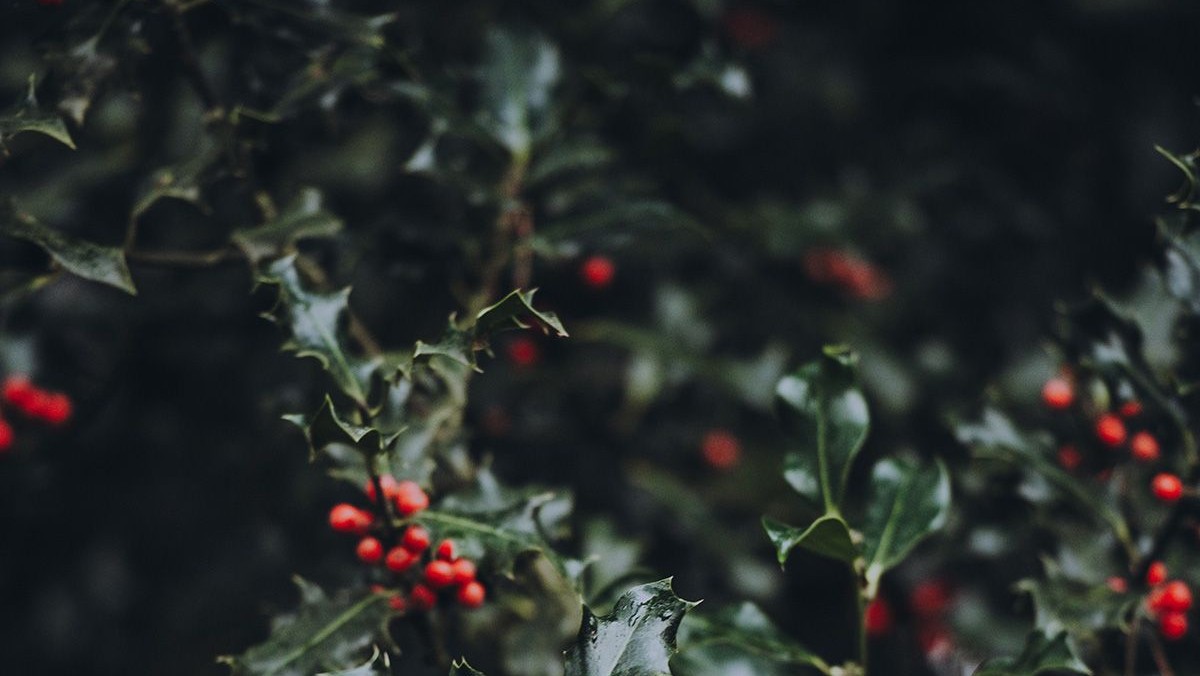 Gudstjeneste anden juledag